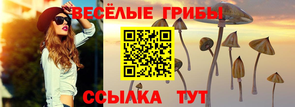 Лесосибирск  Псилоцибиновые грибы ЛСД  Вход с VPN 